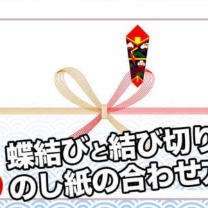 のし紙結び切り蝶結びについて