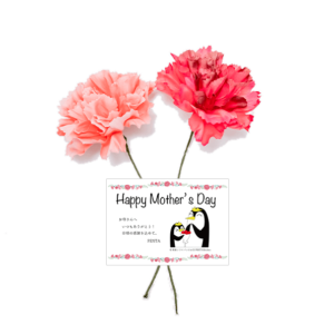 【母の日】カーネーション＆メッセージ Happy Mother’s Day