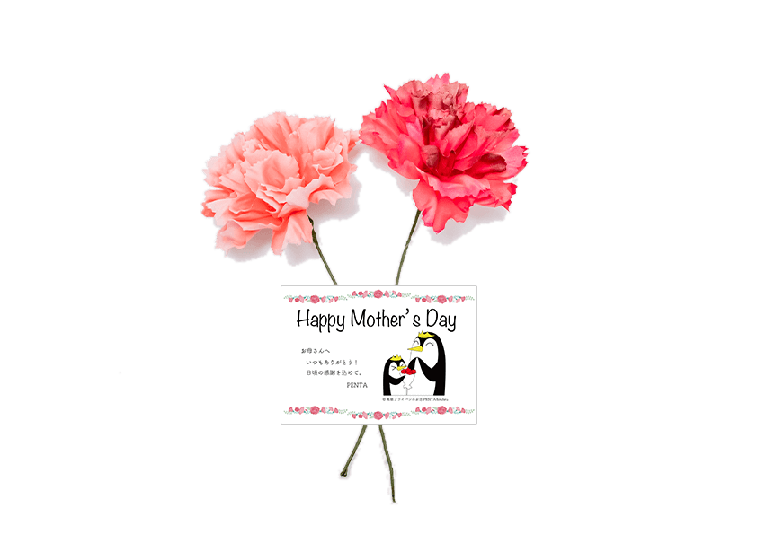 【母の日】カーネーション＆メッセージ Happy Mother’s Day