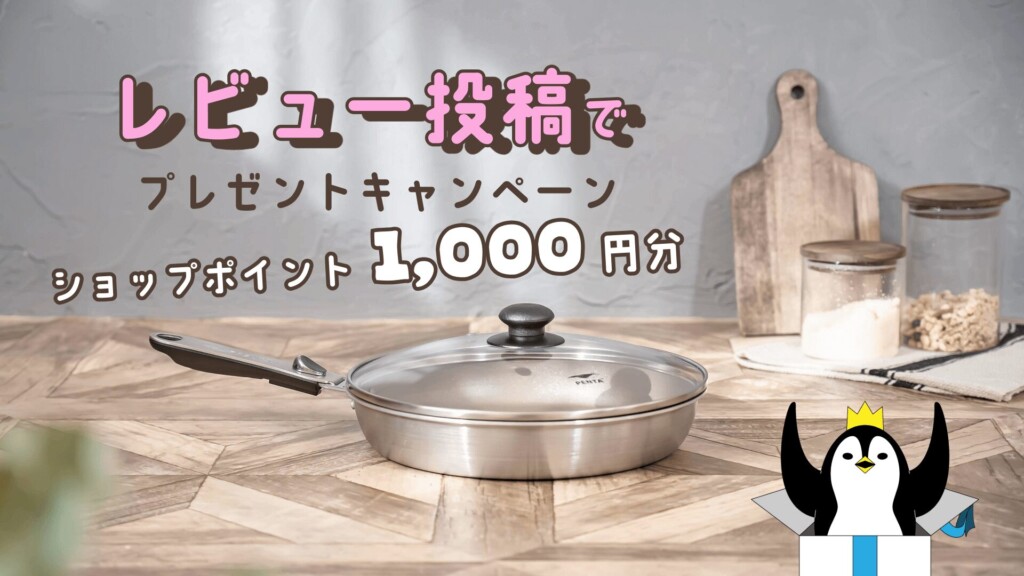 レビュー投稿でポイントプレゼント